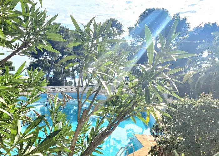 Peaceful With Pool And Stunning Views * Hyères